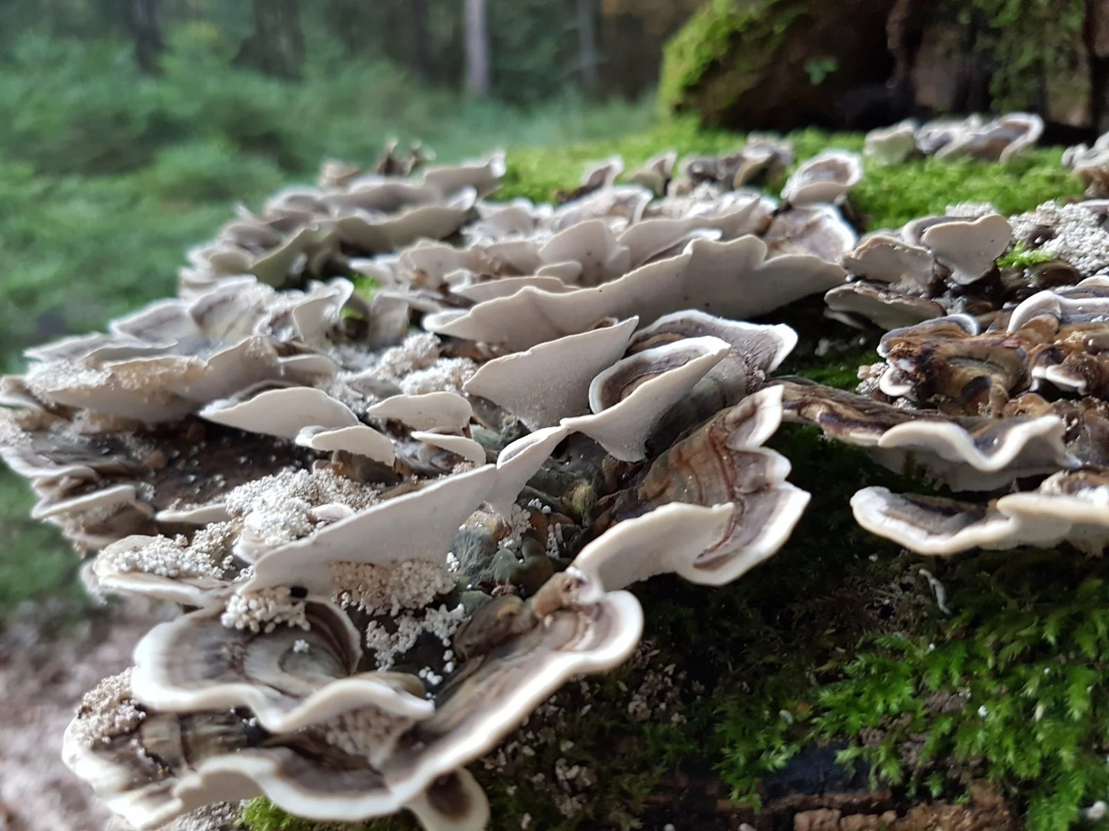 20160911_180151[1].jpg