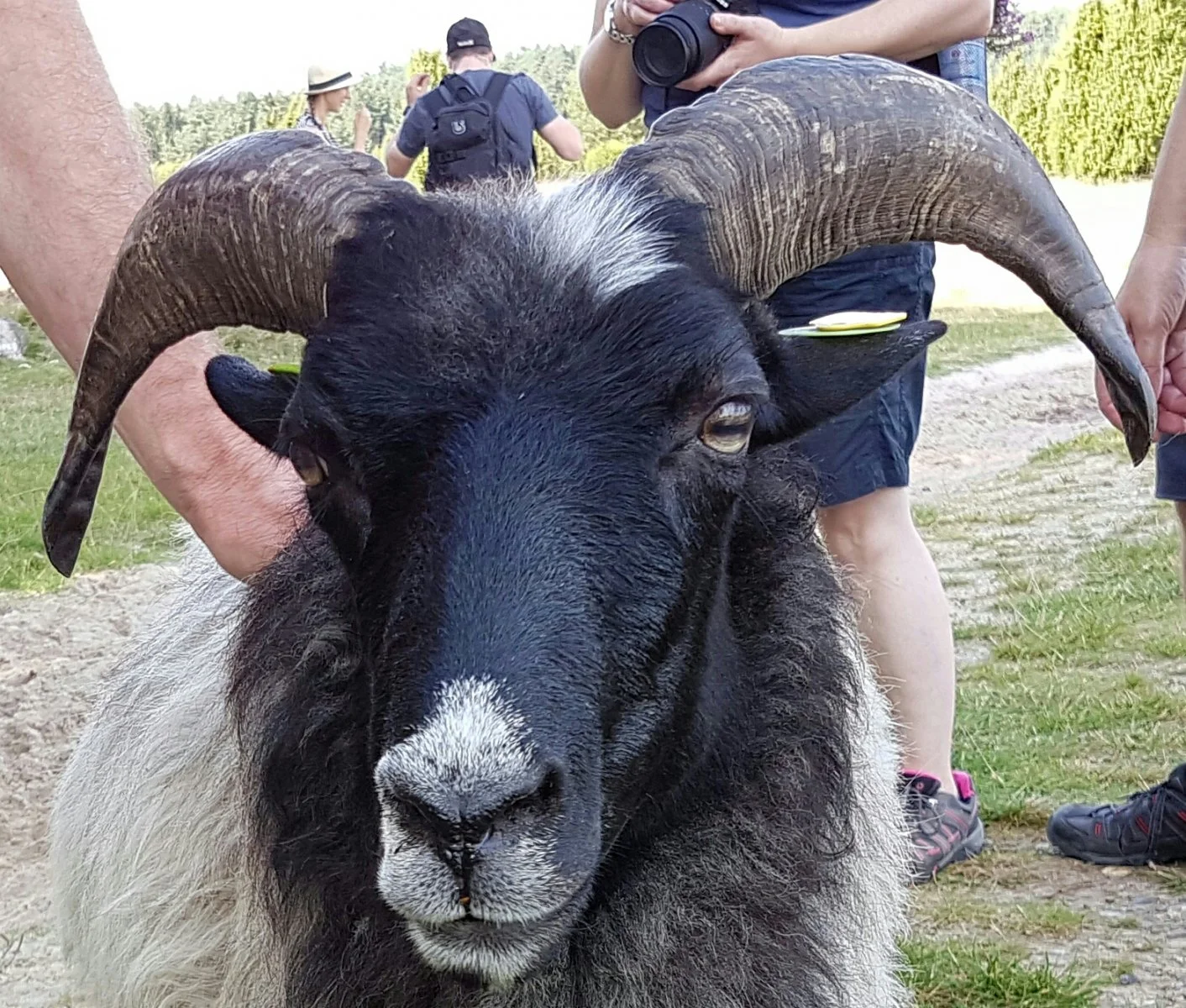 20160911_203157[1].jpg