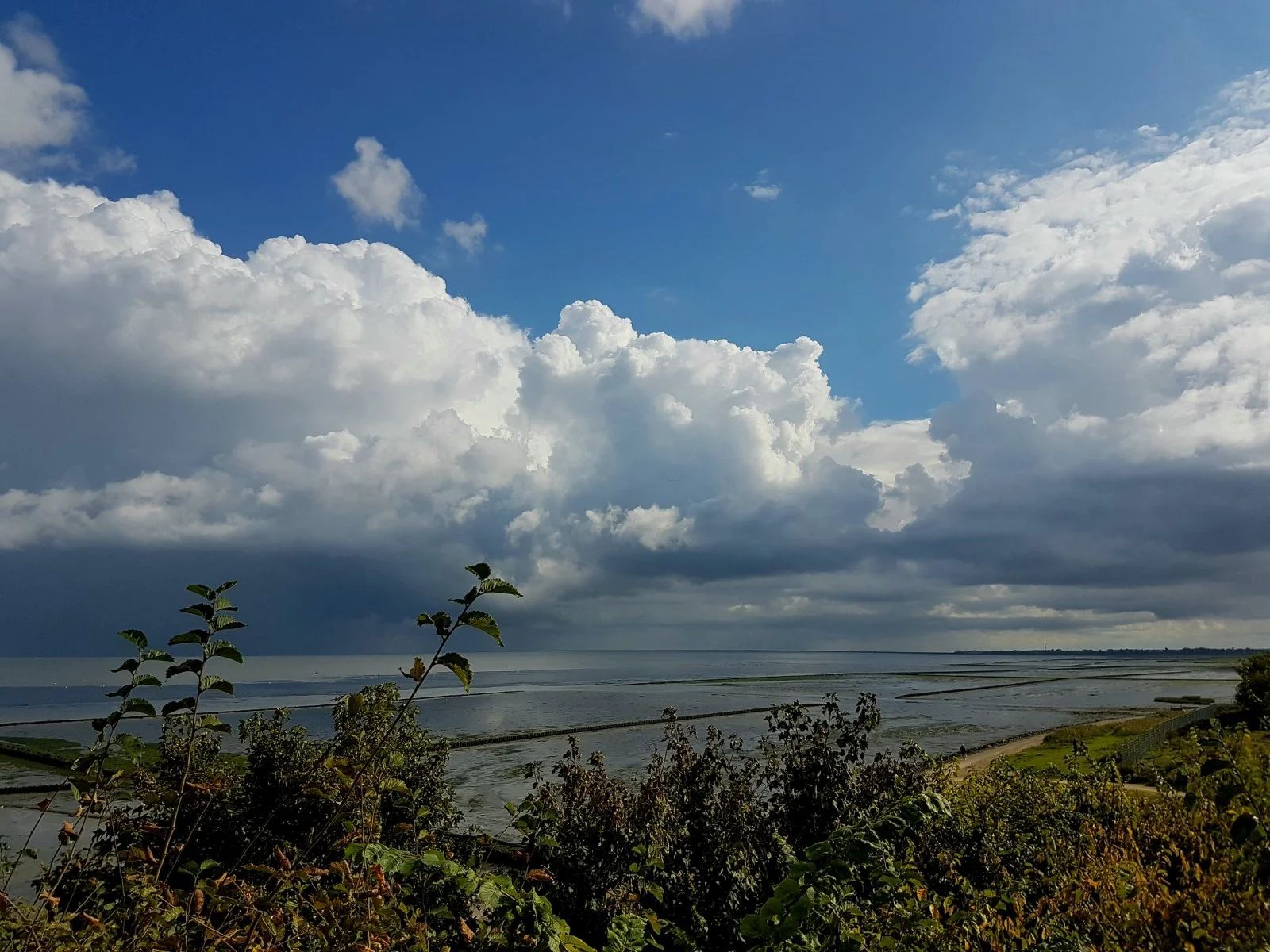 20160925_213000.jpg