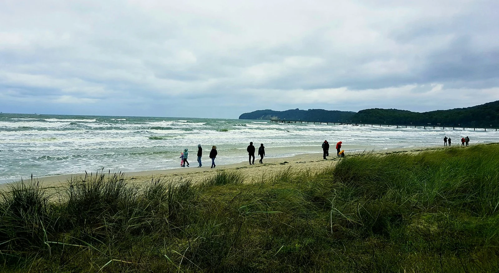 20161011_190359[1].jpg