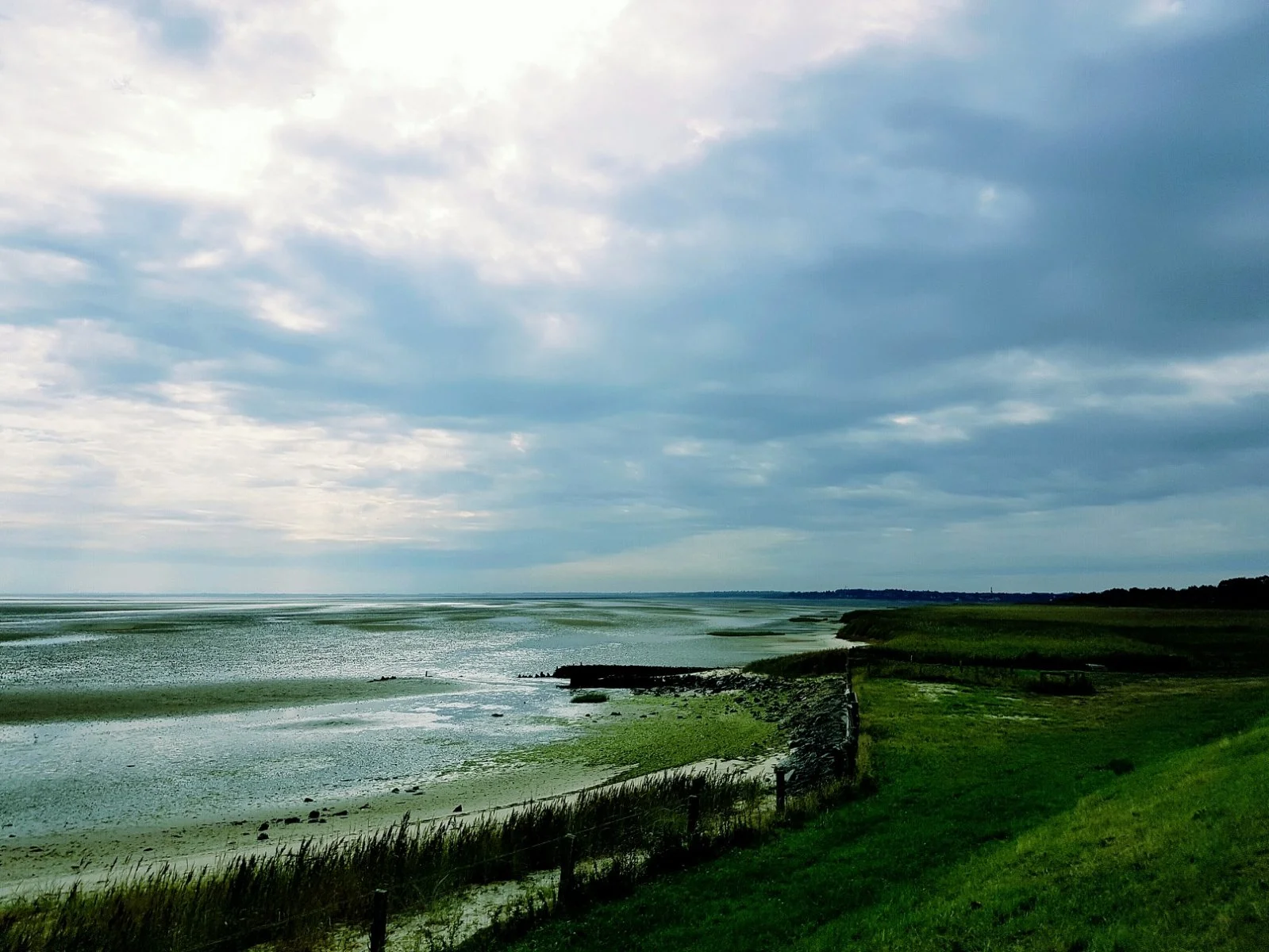 20161017_153332.jpg