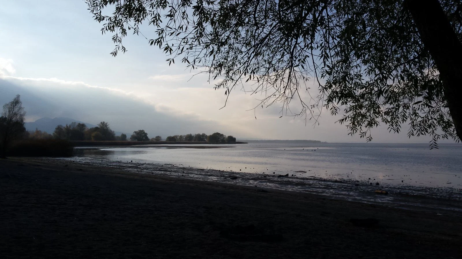 20161112_145006.jpg