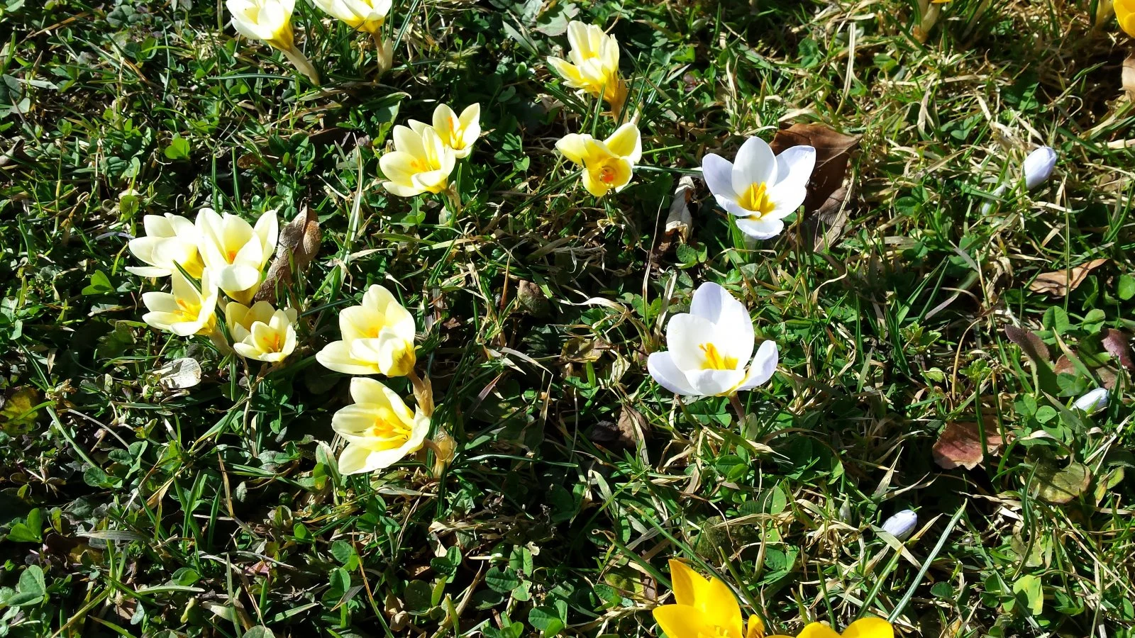 20170227_114122.jpg