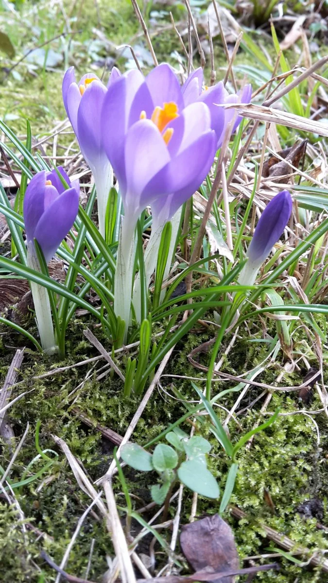 20170312_121241
