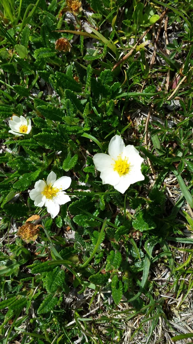 20170613_151637.jpg