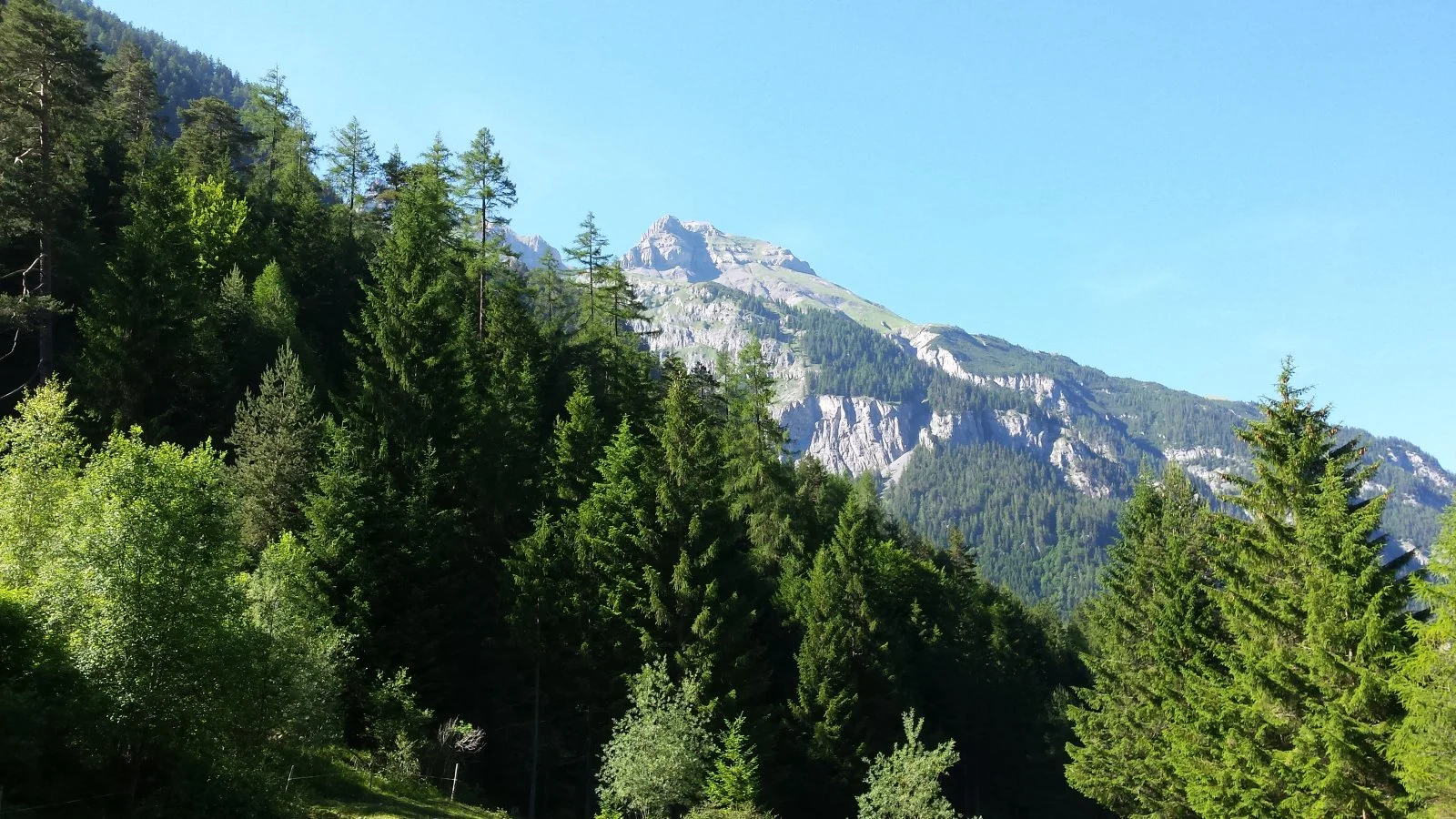 20170618_172121.jpg