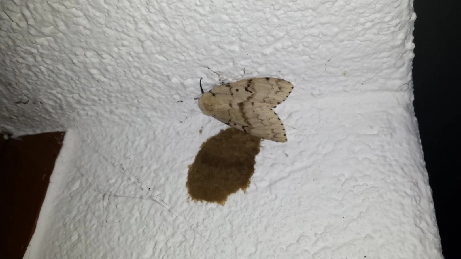20170721_213509.jpg