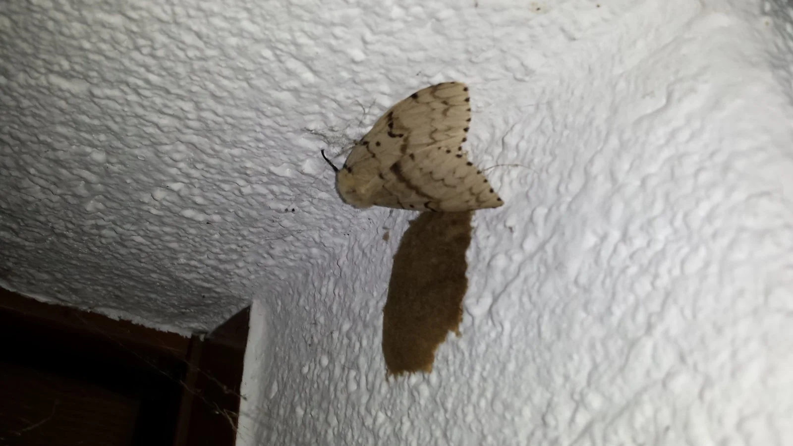 20170721_213519.jpg