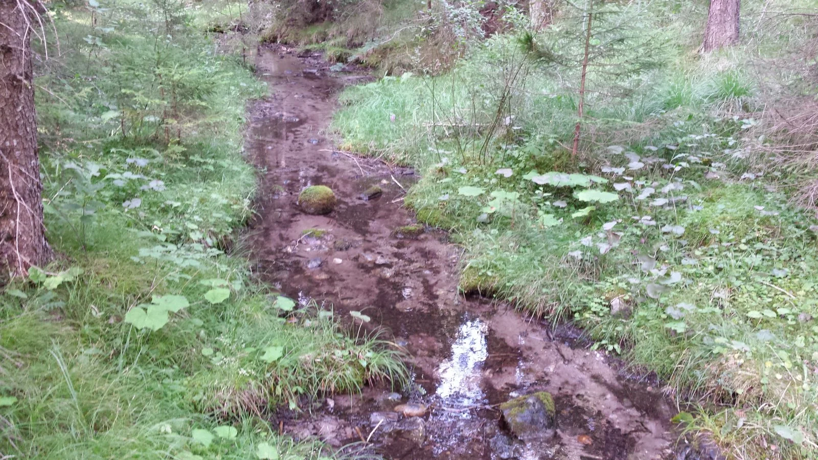 20170722_175945.jpg