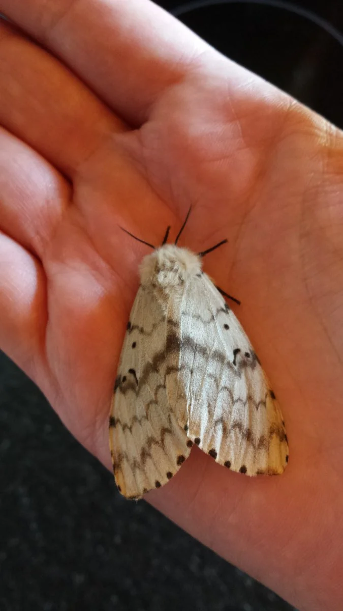 20170807_161611.jpg
