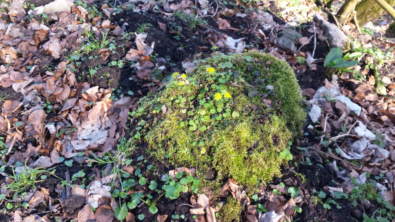 20180314_154709.jpg