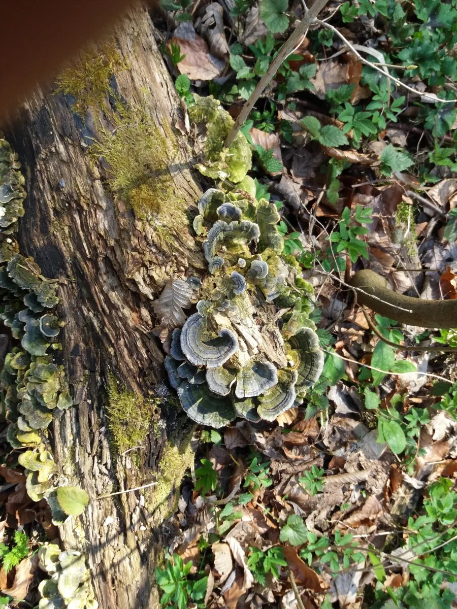 20180407_143523.jpg