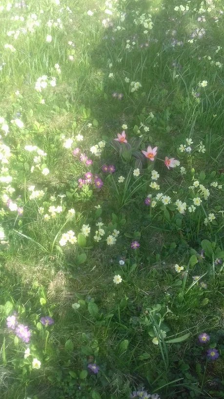 20180409_173031.jpg