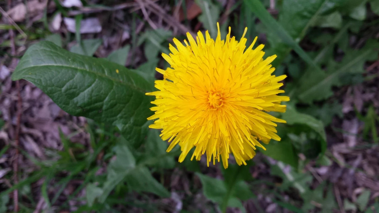 20180418_181231.jpg