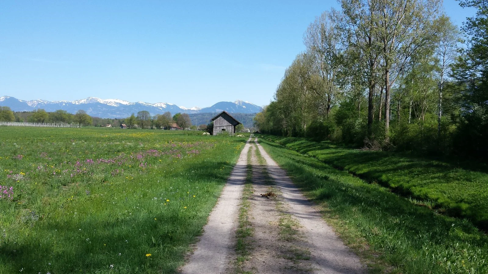 20180419_152252.jpg