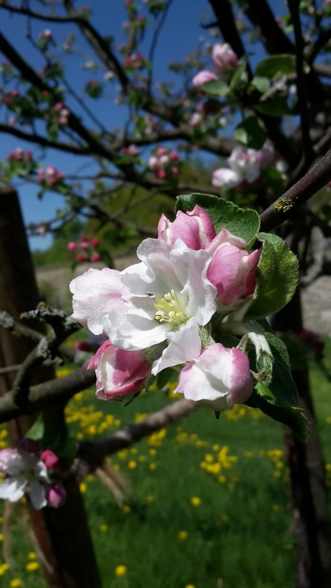 20180428_122628.jpg