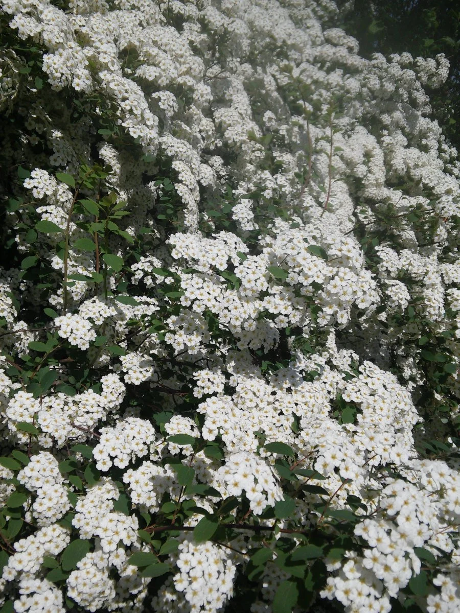 20180507_102341.jpg
