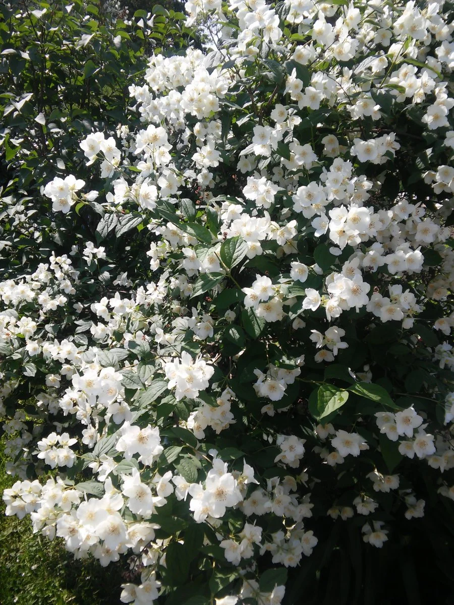 20180521_101216.jpg