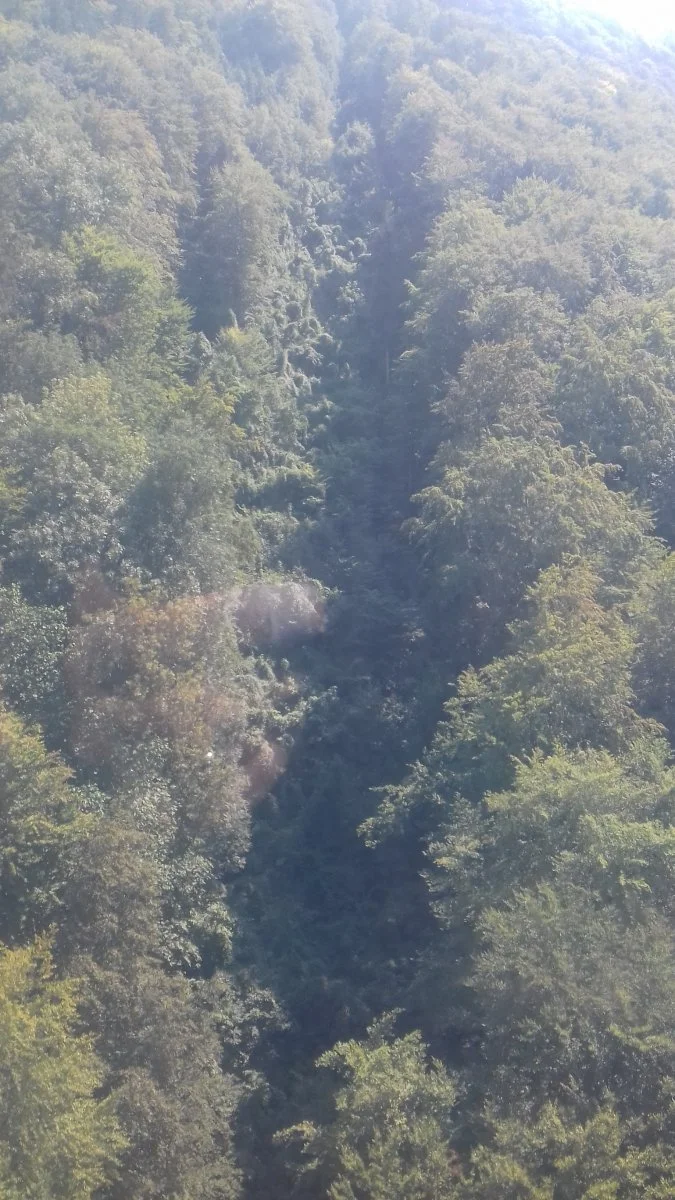 20180820_134902.jpg