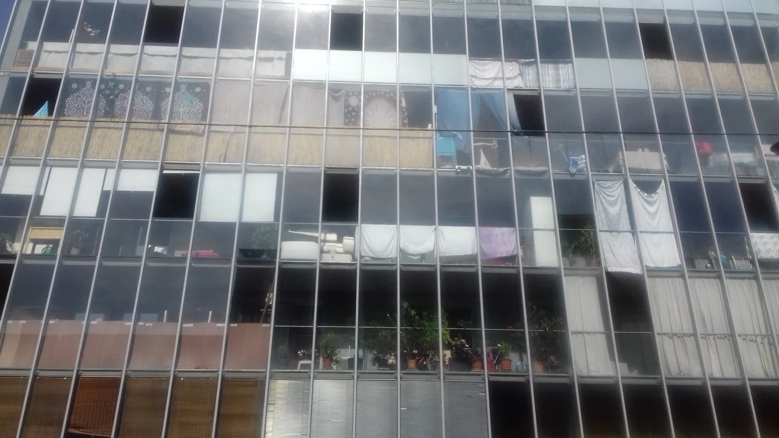 20180911_120307.jpg