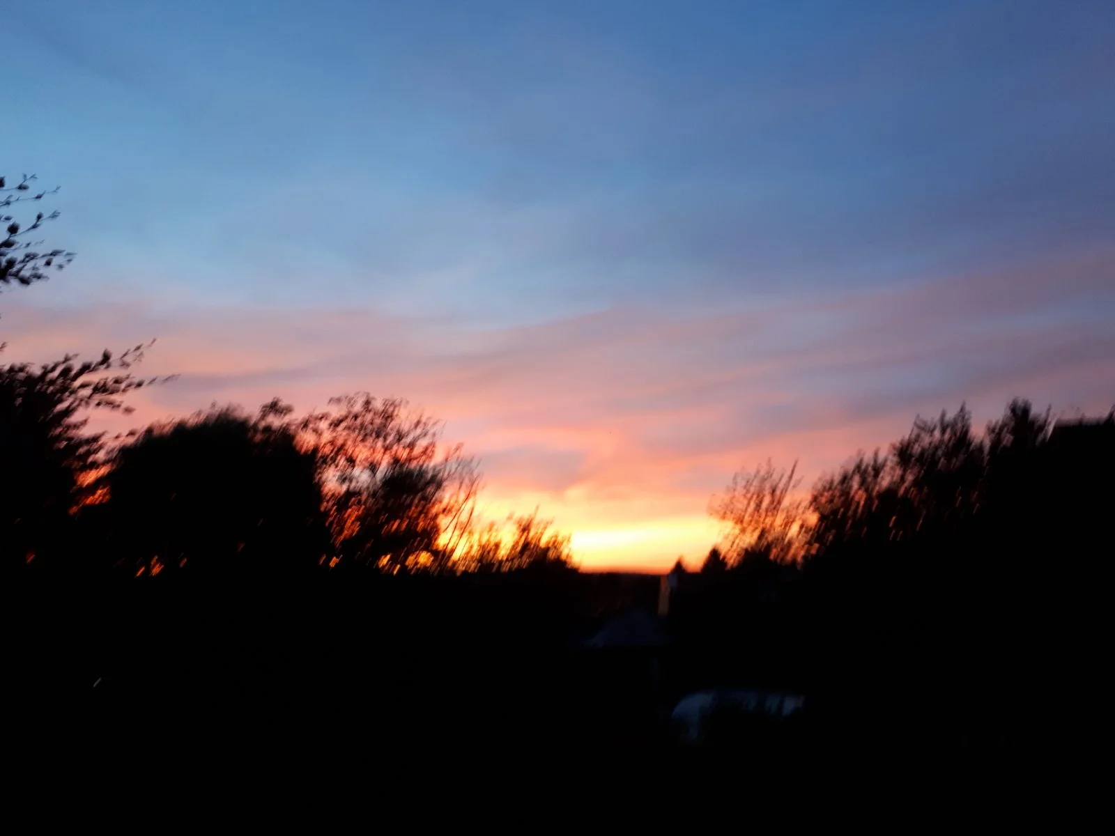 20180911_193749.jpg
