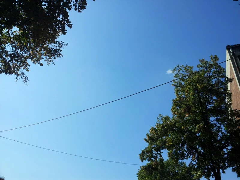 20180916_142451.jpg