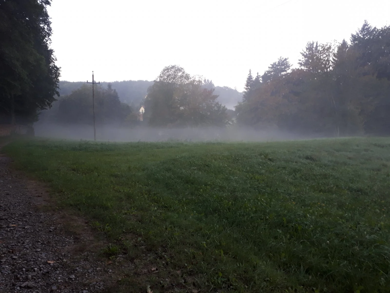20180918_063849.jpg