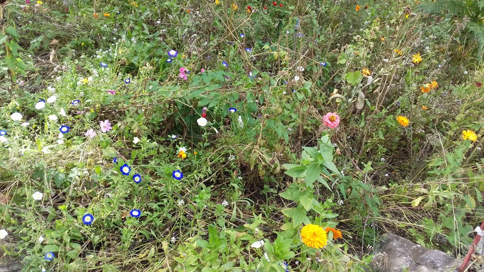 20180926_152319.jpg