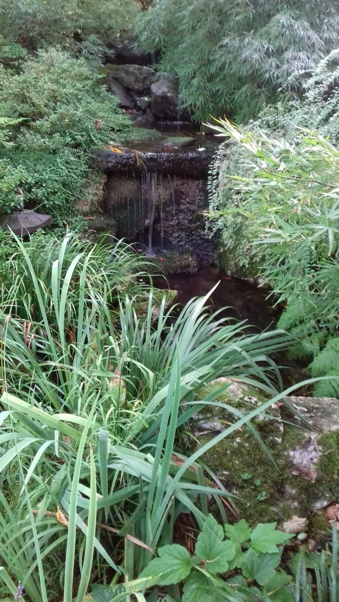 20180928_085718.jpg