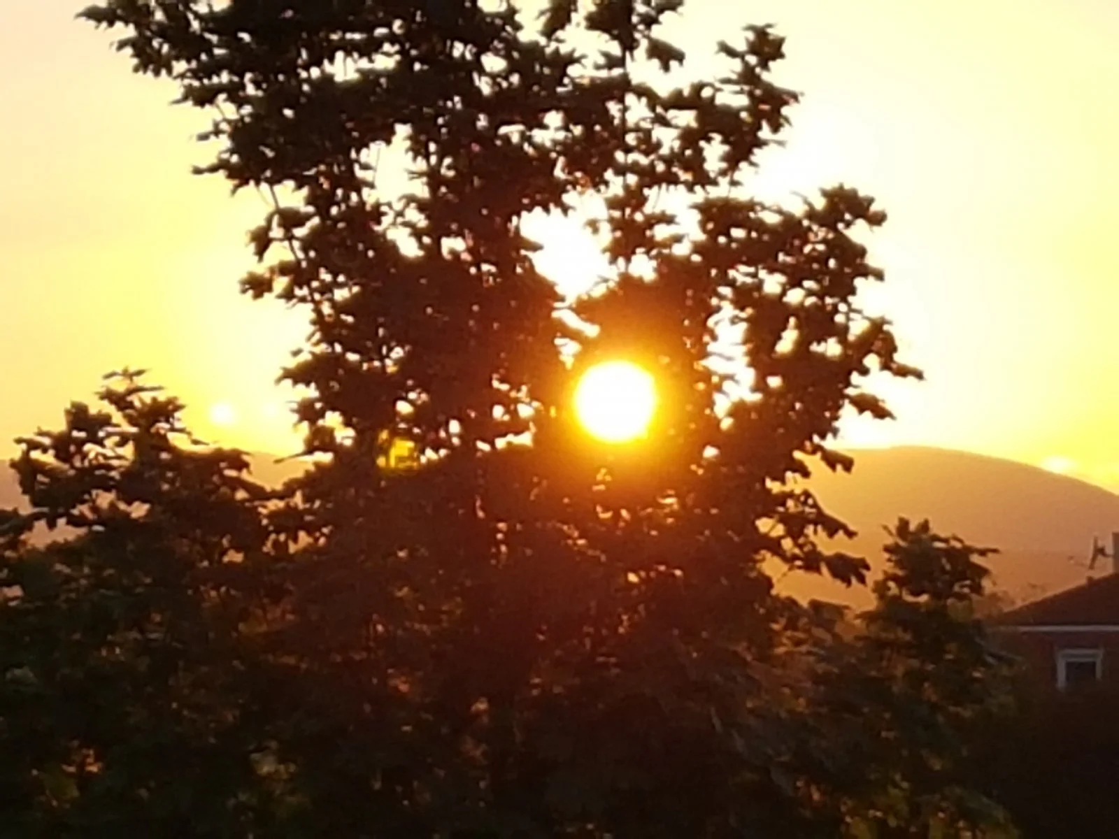 20180928_181940.jpg