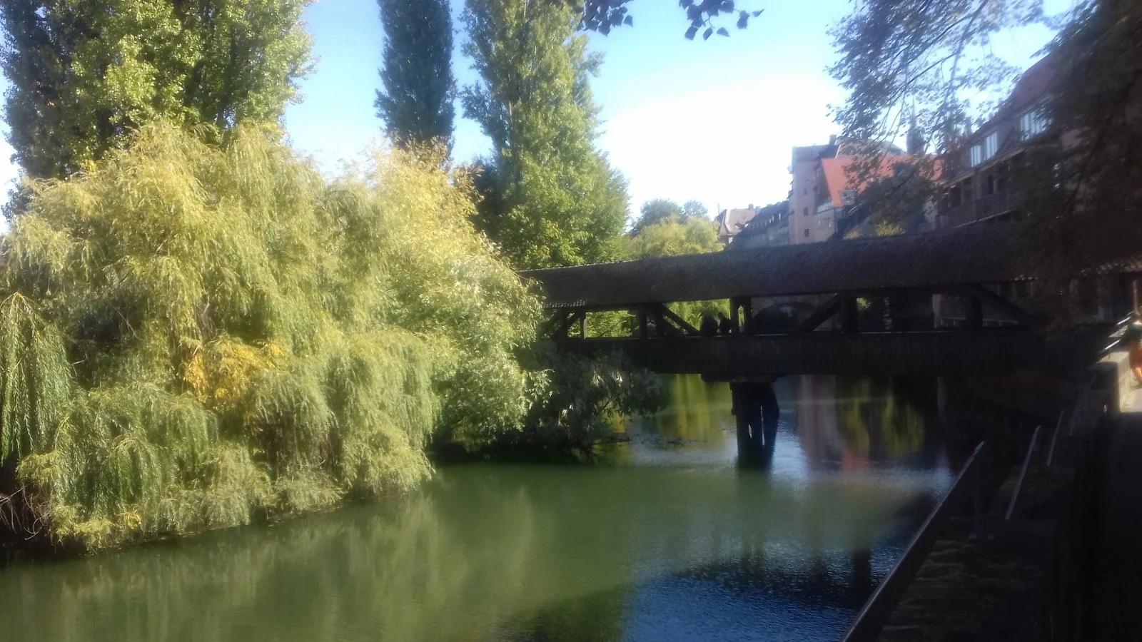20180929_133904.jpg
