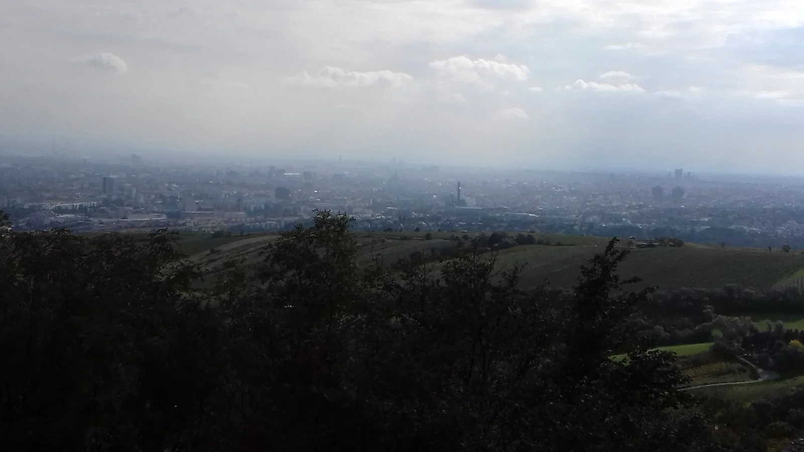 20181007_135650.jpg