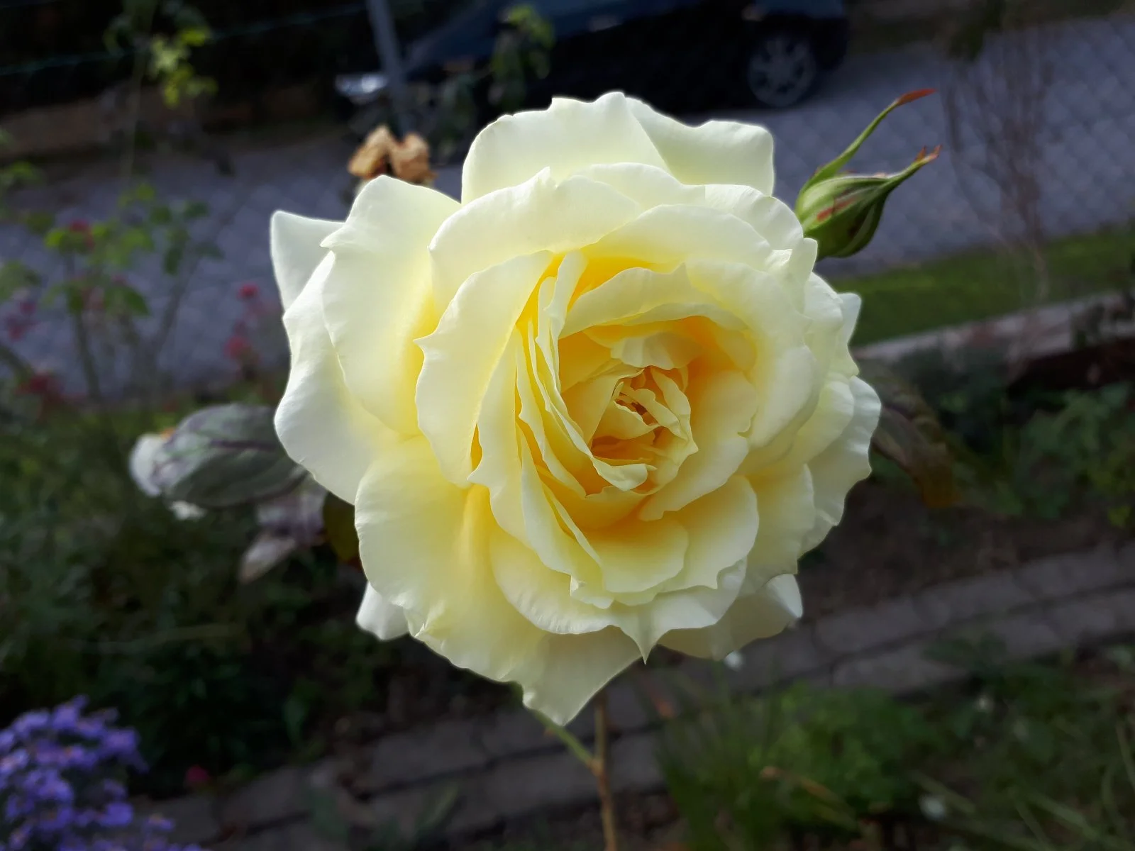 20181008_151644.jpg