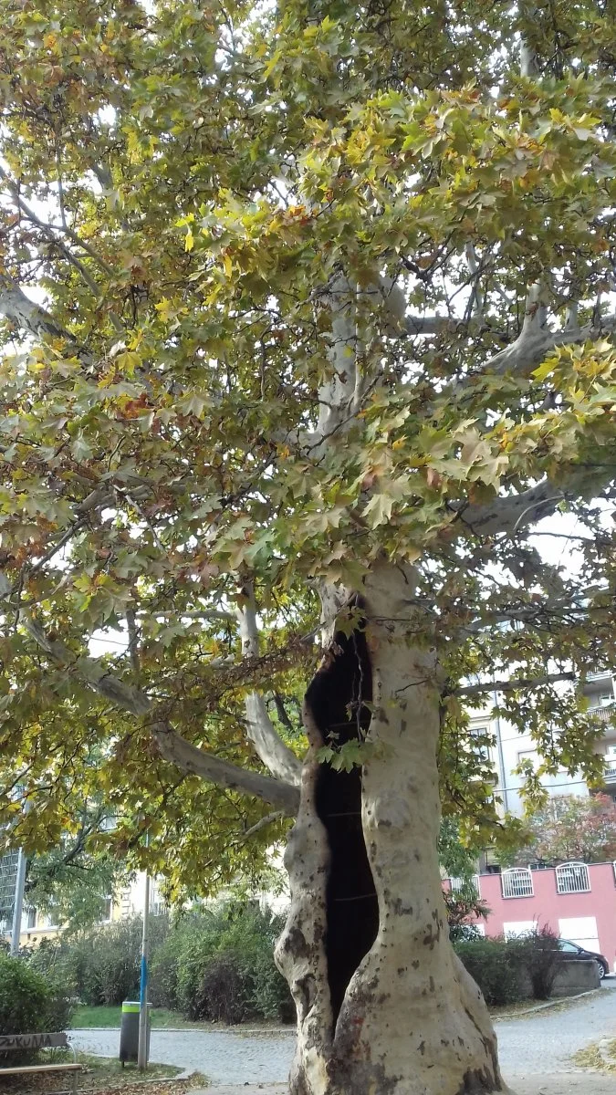 20181015_152354.jpg