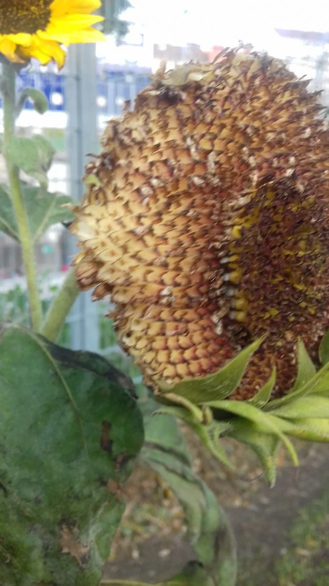 20181026_100617.jpg