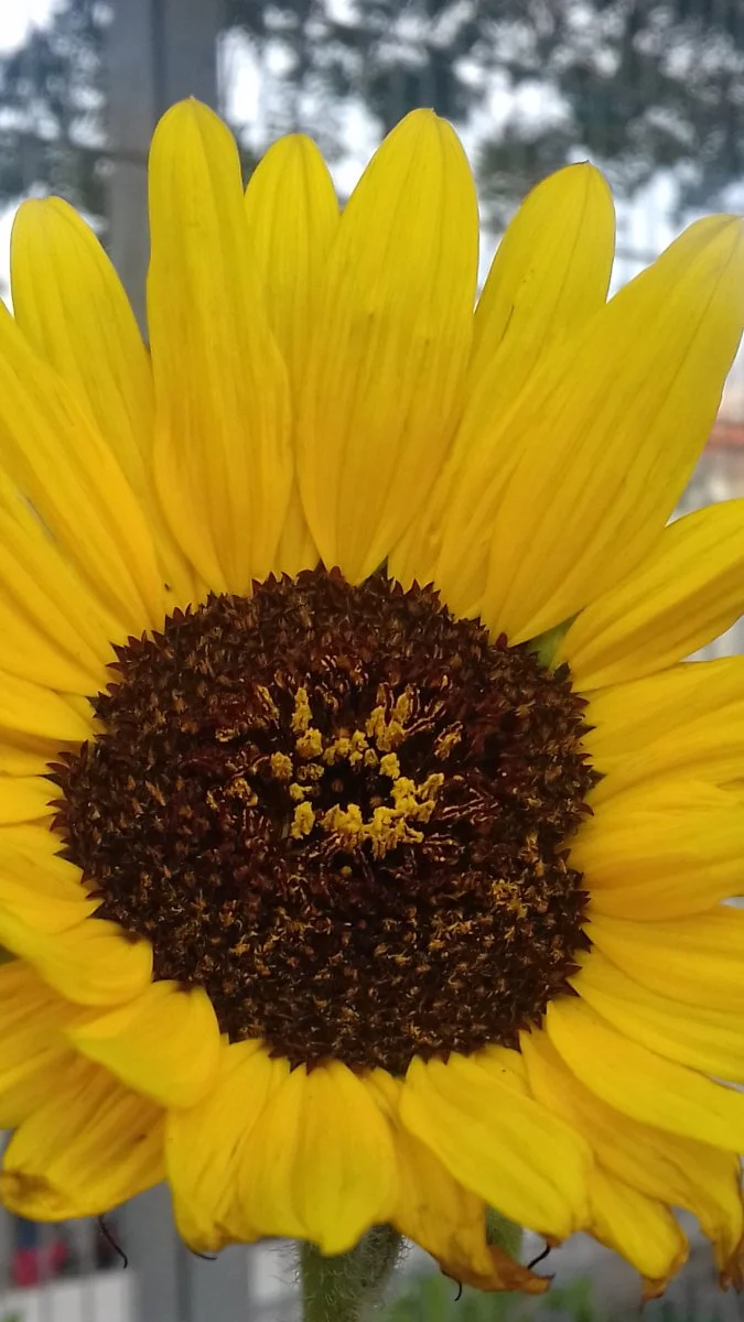 20181026_100655.jpg