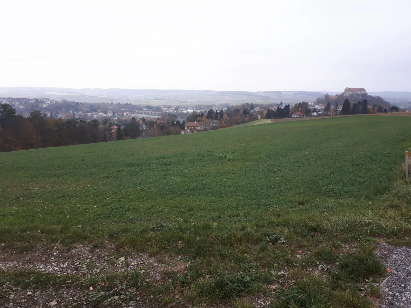 20181103_152828.jpg