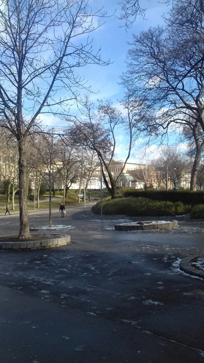 20190129_120045.jpg