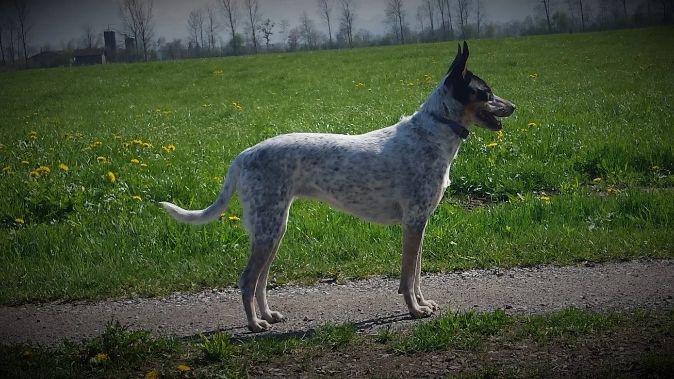 20190415_153941 (2).jpg