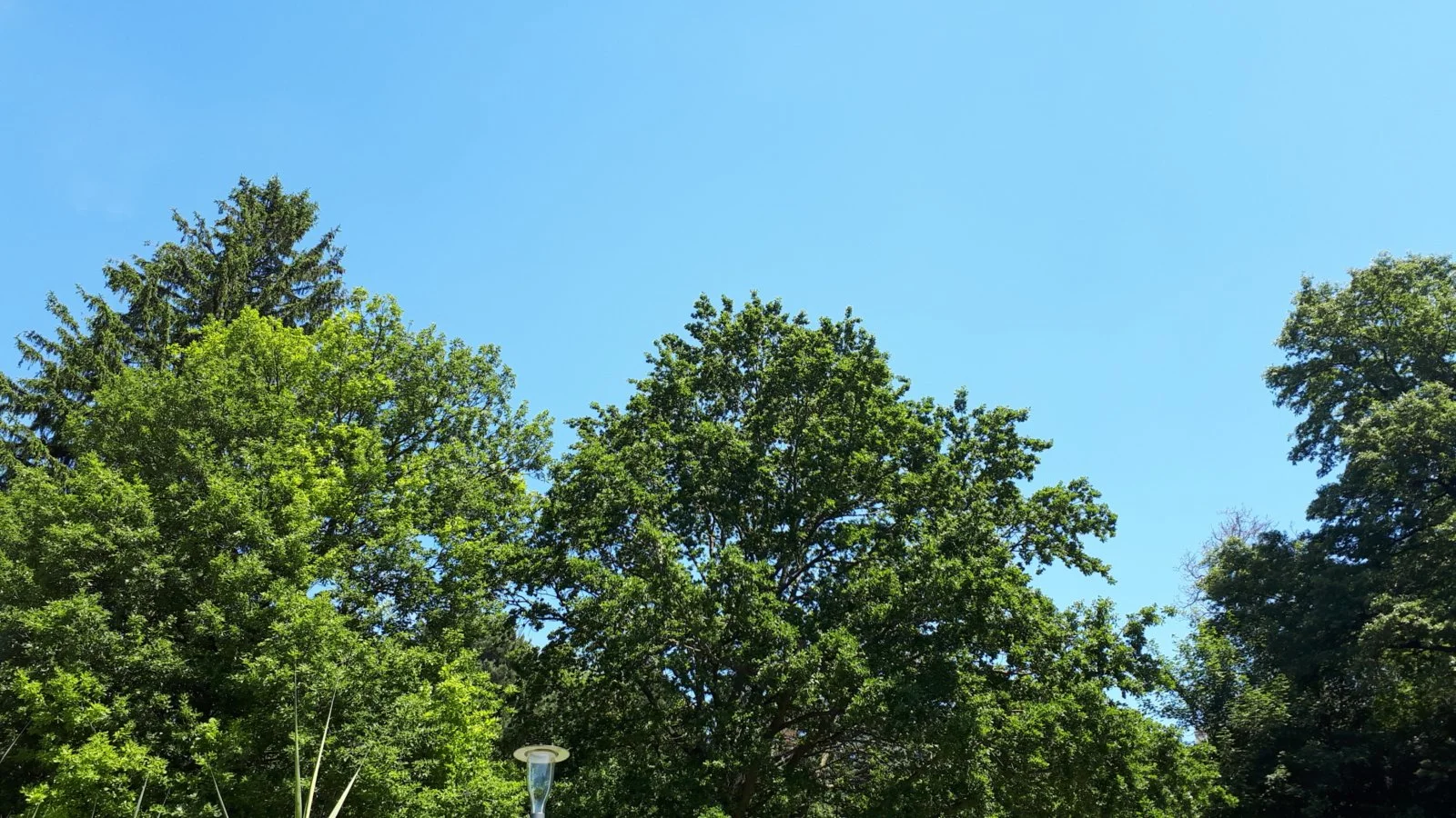 20190604_133559-3456x1944.jpg