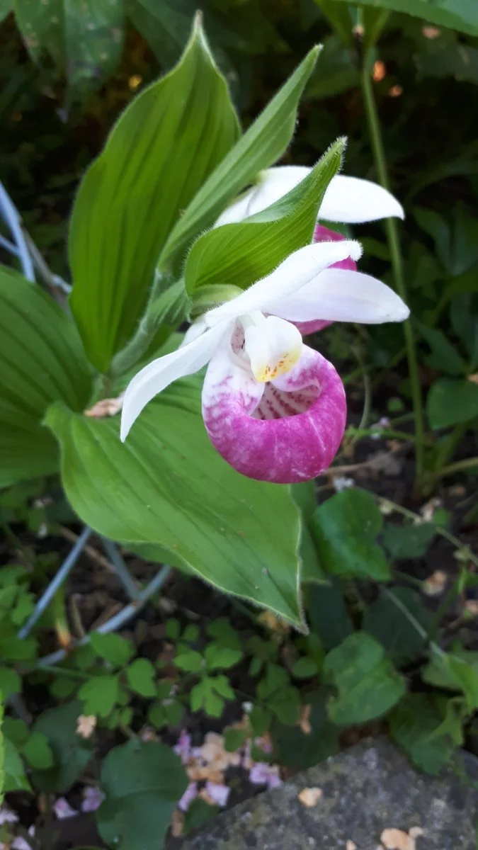 20190605_092911.jpg
