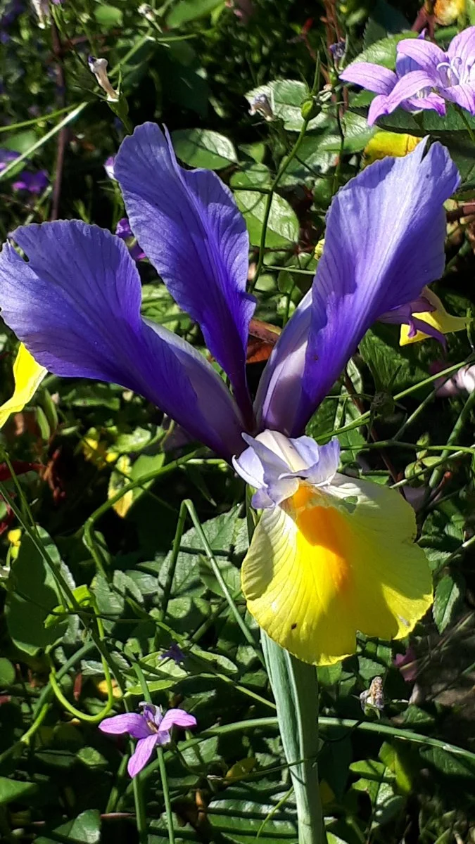 20190605_095132.jpg