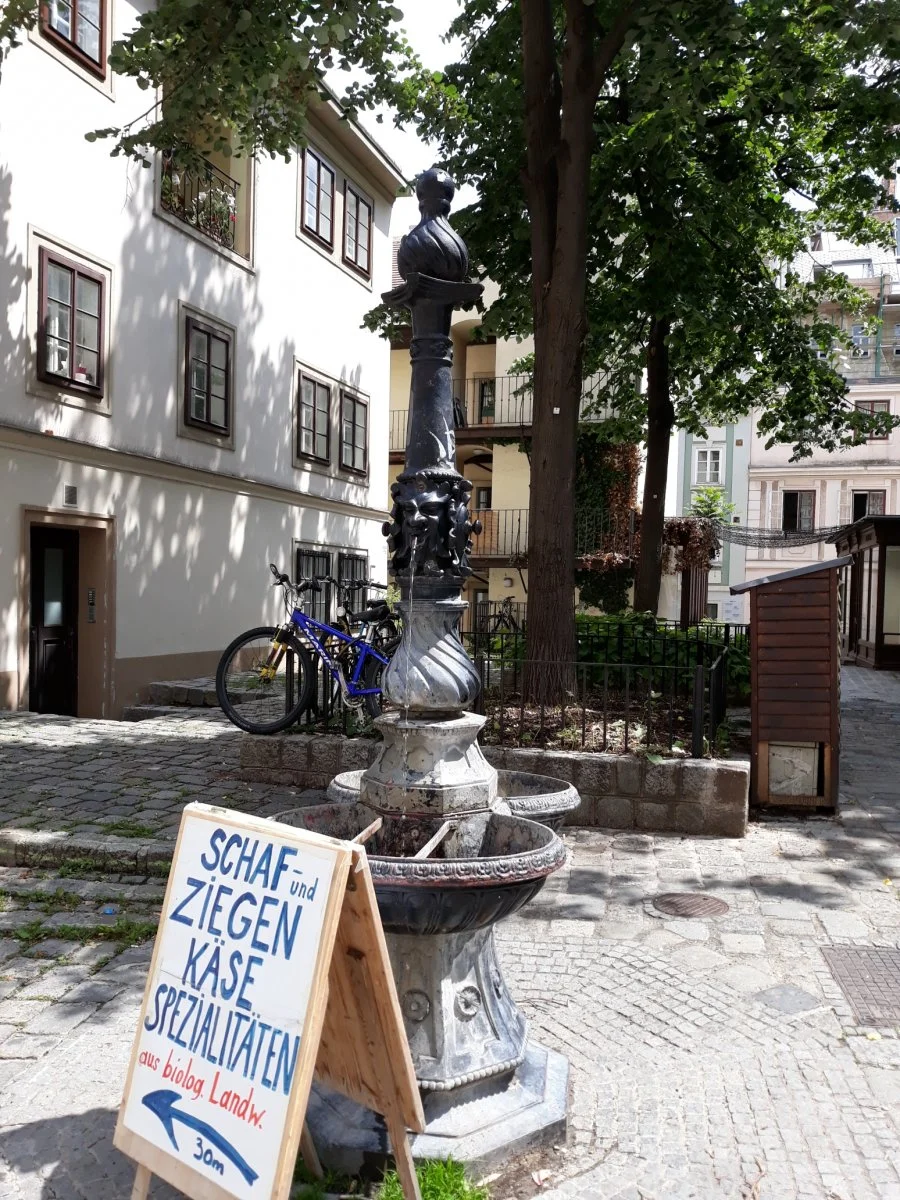 20190607_113445  1.jpg