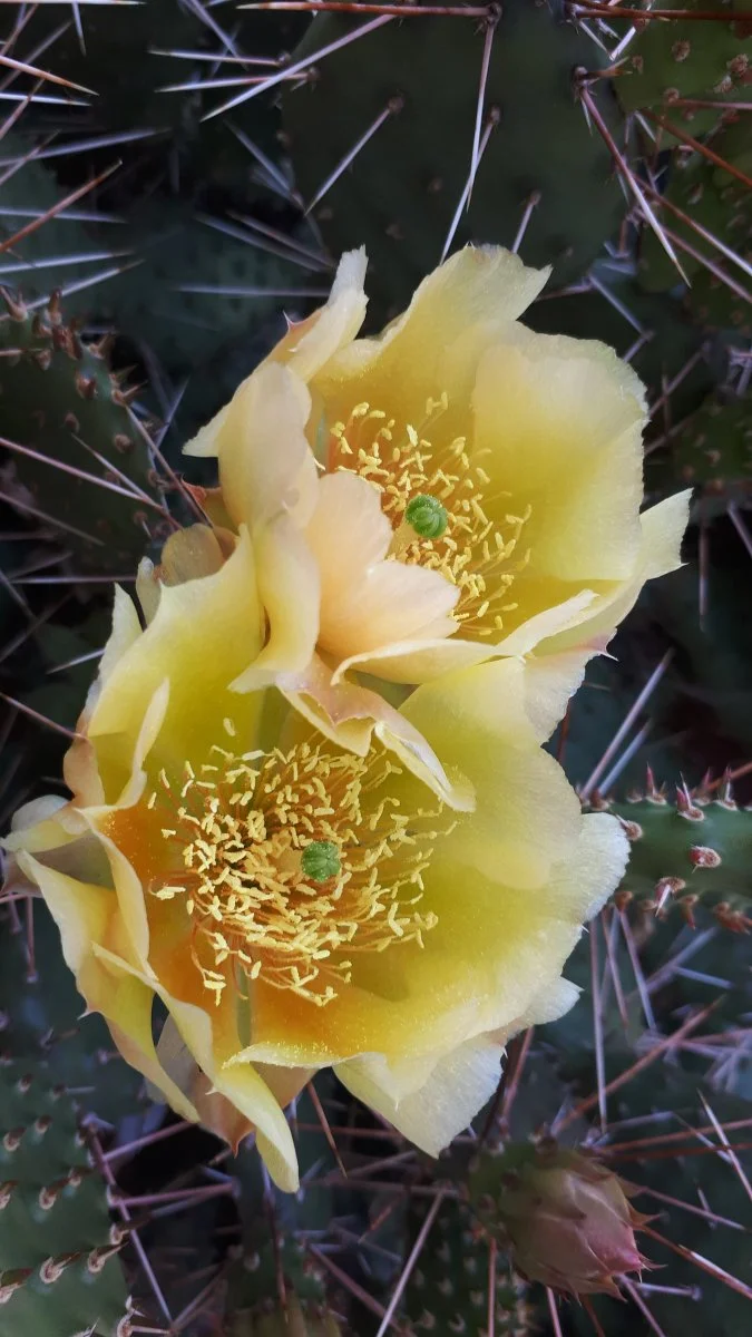 20190609_113045.jpg