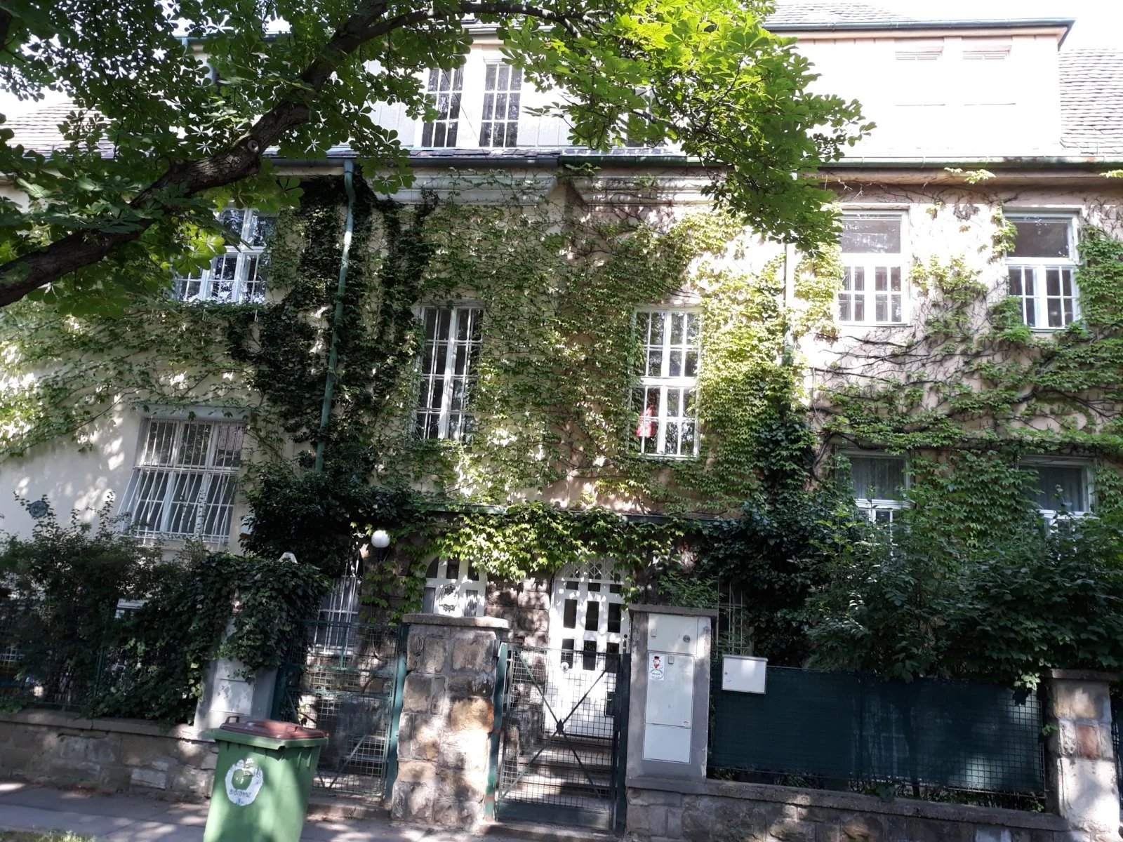 20190613_163225  1.jpg