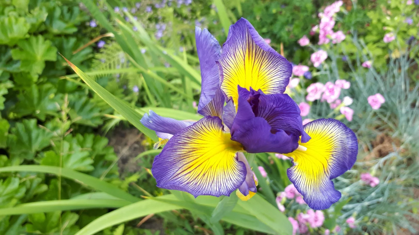 20190617_151249.jpg