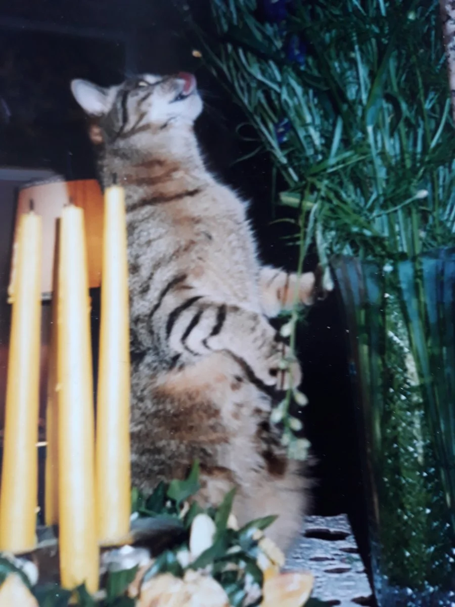 20190620_153501.jpg