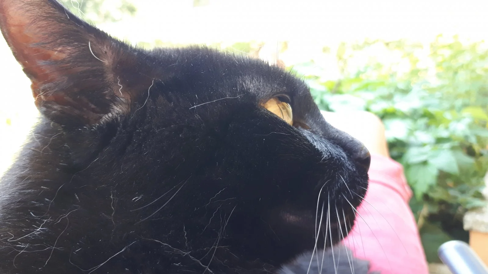 20190624_144949.jpg