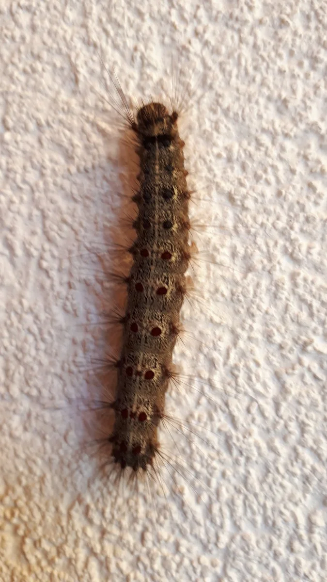 20190628_090209.jpg
