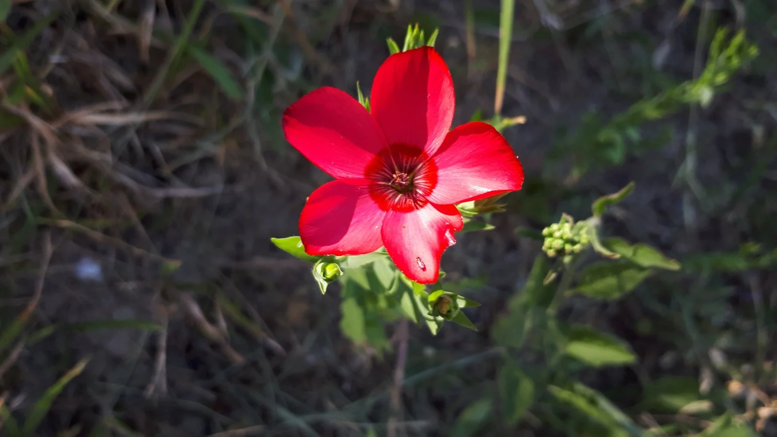 20190630_155946.jpg